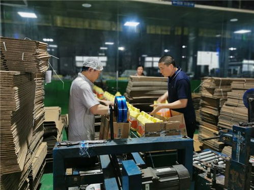 調(diào)結(jié)構(gòu)增產(chǎn)能，四川立白疫情期間產(chǎn)銷不降反升背后的軟件力量